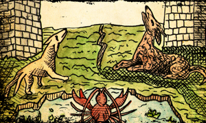 Die Symbolik im Tarot
